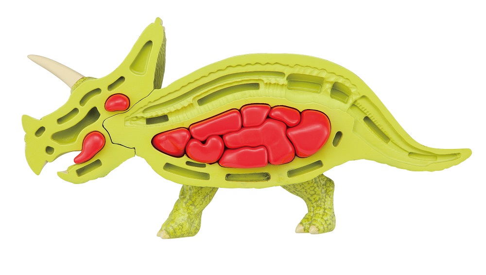 Triceratops Kaitai Puzzle Gallery Image 4