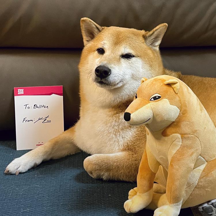 Cheems Meme Collection Plush Gallery Image 4