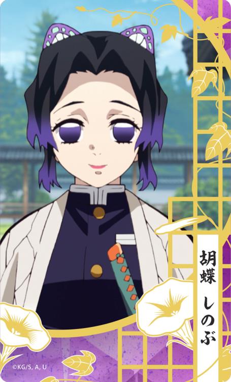 Demon Slayer: Kimetsu no Yaiba Nichirin Swords Collection Box of 10 Swords Gallery Image 11