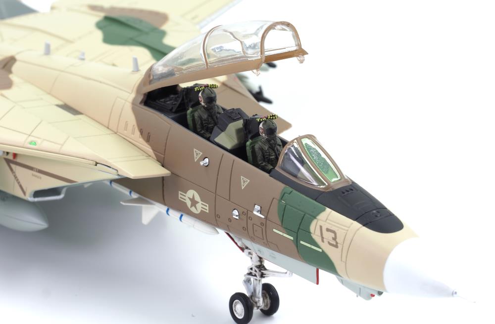 Classic Cats F-14A Tomcat FWS Miramar Desert 1/72 Scale Collectible Model Gallery Image 7