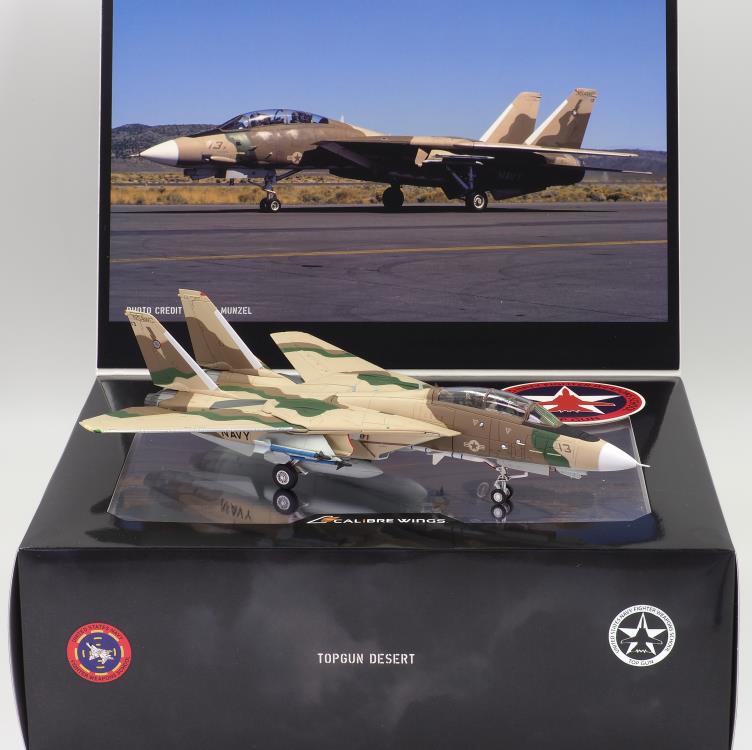 Classic Cats F-14A Tomcat FWS Miramar Desert 1/72 Scale Collectible Model Gallery Image 19