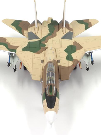 Classic Cats F-14A Tomcat FWS Miramar Desert 1/72 Scale Collectible Model Gallery Image 2