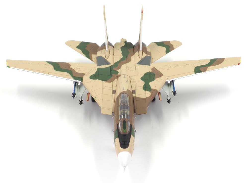 Classic Cats F-14A Tomcat FWS Miramar Desert 1/72 Scale Collectible Model Gallery Image 6