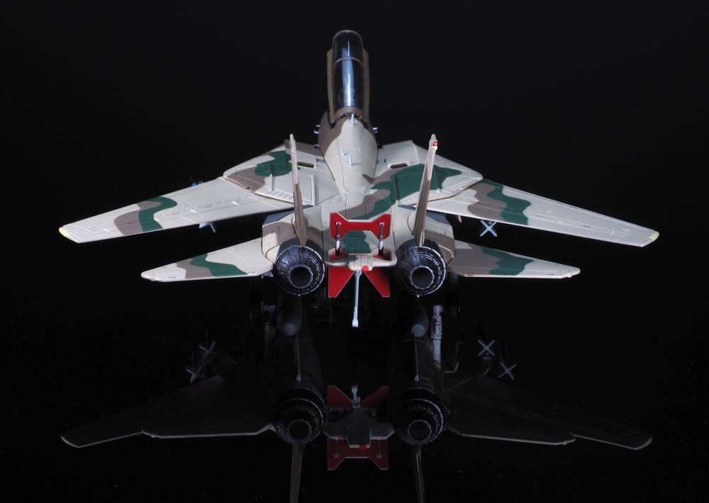 Classic Cats F-14A Tomcat FWS Miramar Desert 1/72 Scale Collectible Model Gallery Image 11
