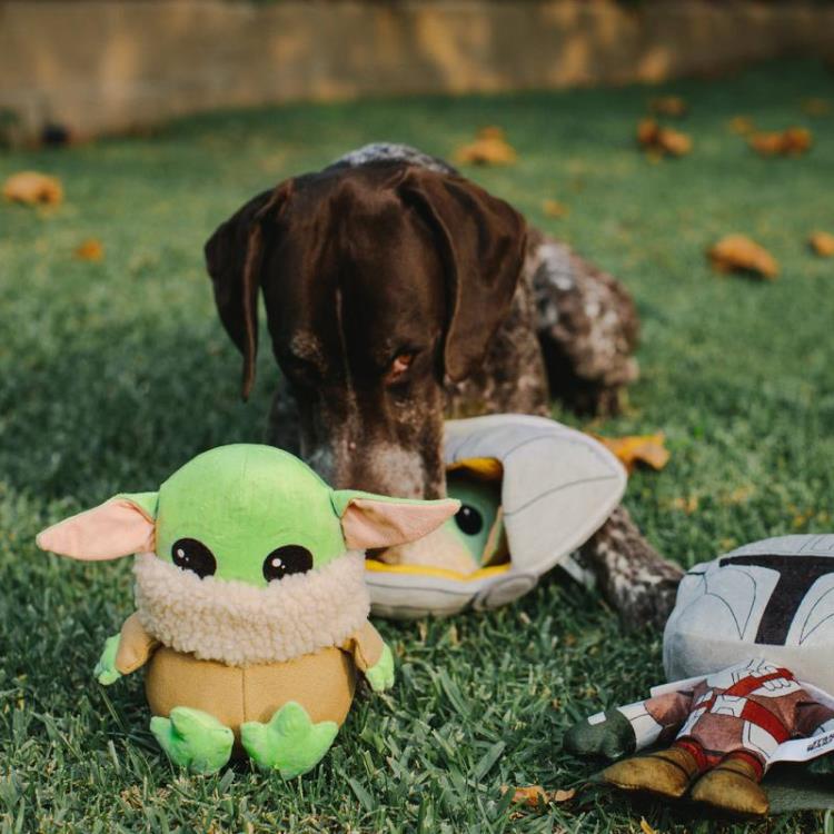 The Mandalorian The Child Sitting Pose Squeaky Plush Dog Toy Gallery Image 5