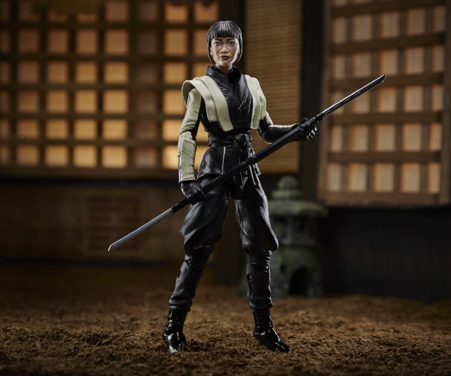 Snake Eyes: G.I. Joe Origins Classified Series Wave 6 Set of 2 Figures Gallery Image 3