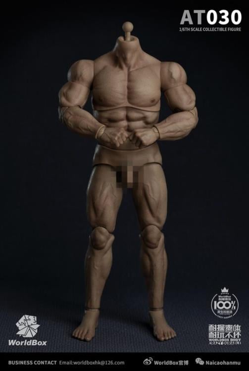 Universal 1/6 Scale Durable Body (AT030) Gallery Image 5
