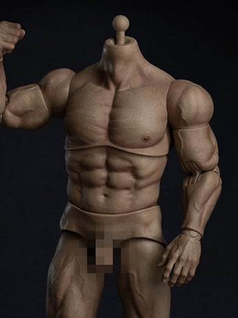 Universal 1/6 Scale Durable Body (AT030) Gallery Image 2