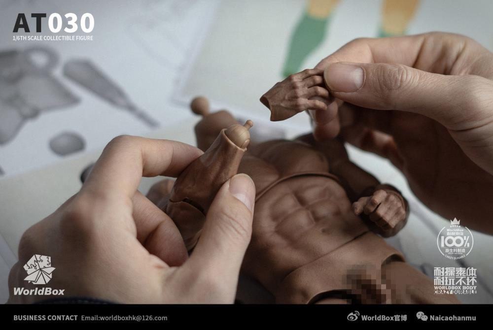 Universal 1/6 Scale Durable Body (AT030) Gallery Image 12