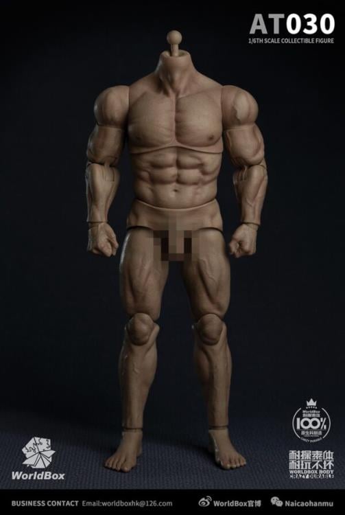 Universal 1/6 Scale Durable Body (AT030) Gallery Image 4