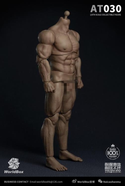 Universal 1/6 Scale Durable Body (AT030) Gallery Image 6