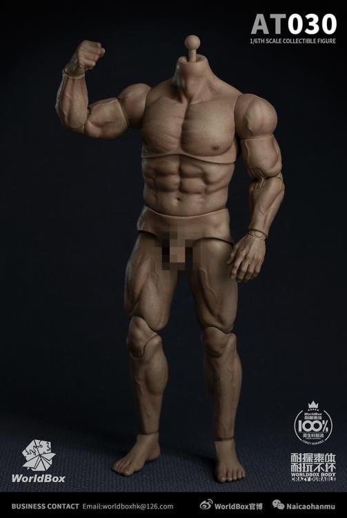 Universal 1/6 Scale Durable Body (AT030) Gallery Image 3