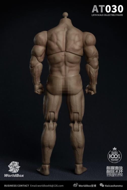 Universal 1/6 Scale Durable Body (AT030) Gallery Image 7