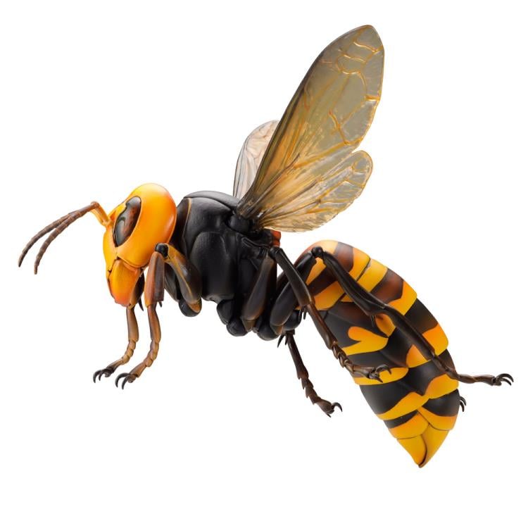 Revoltech RevoGeo Vespa Mandarinia (Asian Giant Hornet) (Reissue) Gallery Image 8