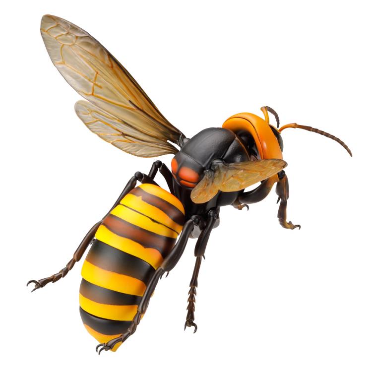Revoltech RevoGeo Vespa Mandarinia (Asian Giant Hornet) (Reissue) Gallery Image 7