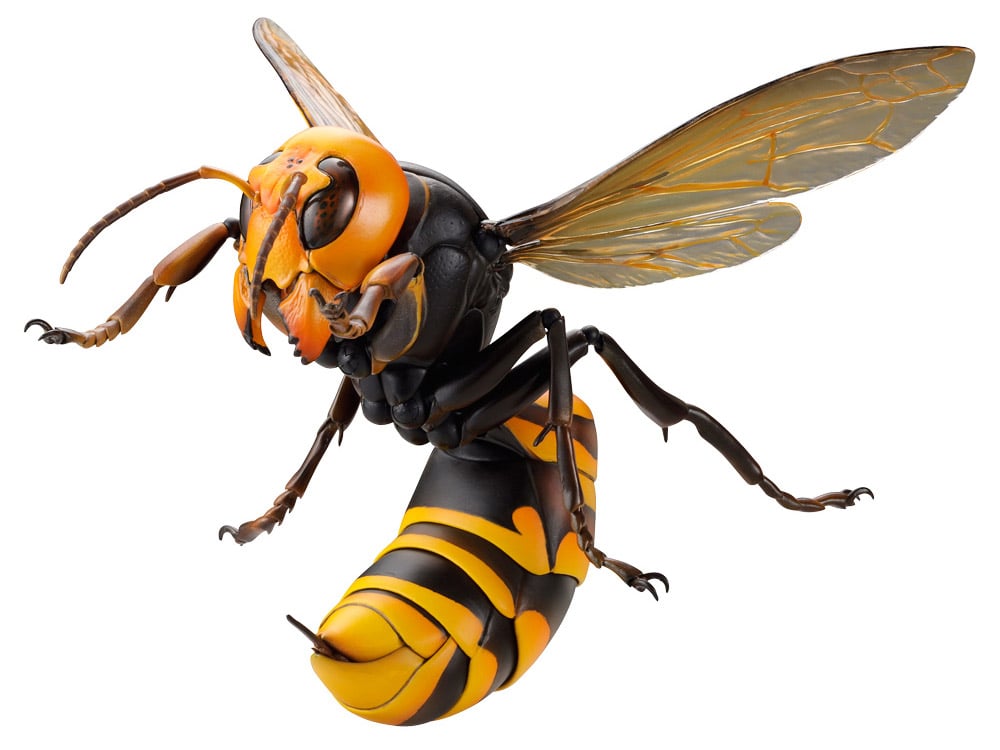 Revoltech RevoGeo Vespa Mandarinia (Asian Giant Hornet) (Reissue) Gallery Image 9