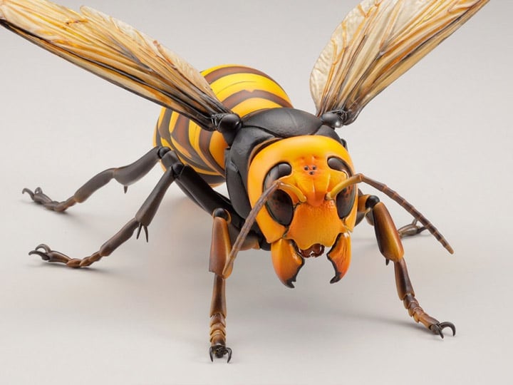 Revoltech RevoGeo Vespa Mandarinia (Asian Giant Hornet) (Reissue) Gallery Image 1