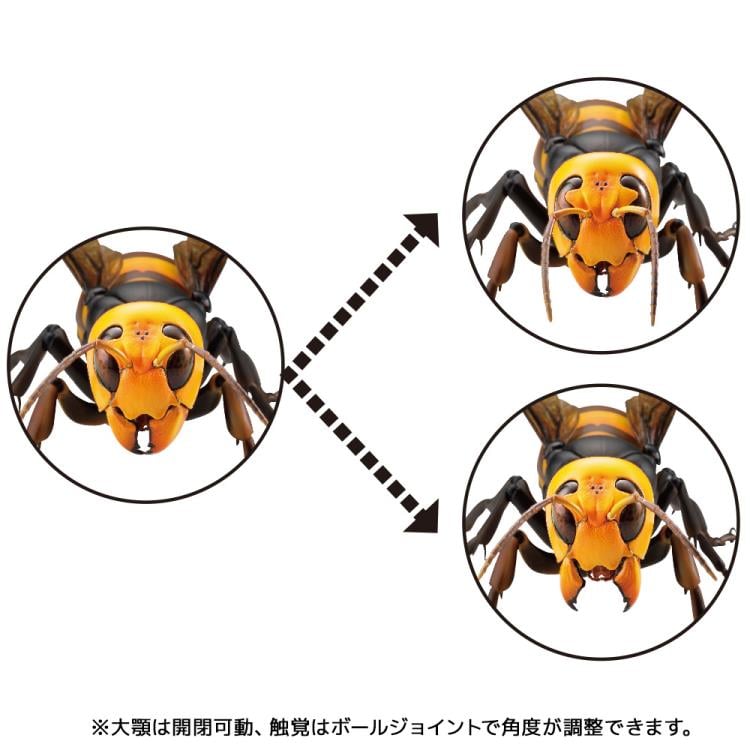 Revoltech RevoGeo Vespa Mandarinia (Asian Giant Hornet) (Reissue) Gallery Image 15