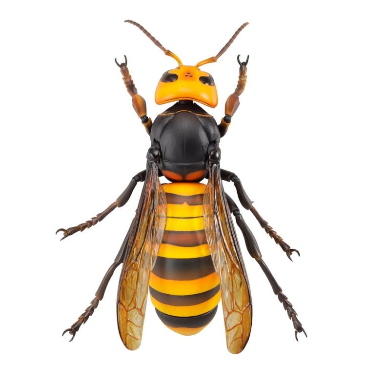 Revoltech RevoGeo Vespa Mandarinia (Asian Giant Hornet) (Reissue) Gallery Image 5