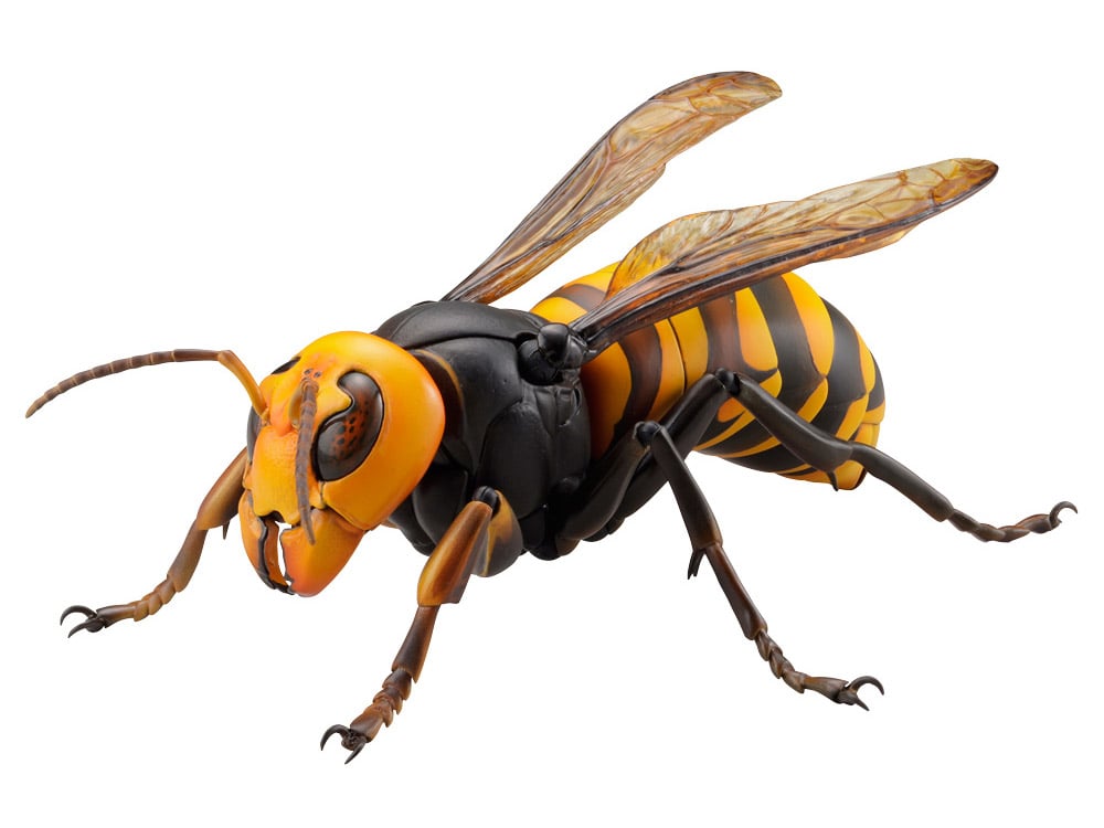 Revoltech RevoGeo Vespa Mandarinia (Asian Giant Hornet) (Reissue) Gallery Image 3
