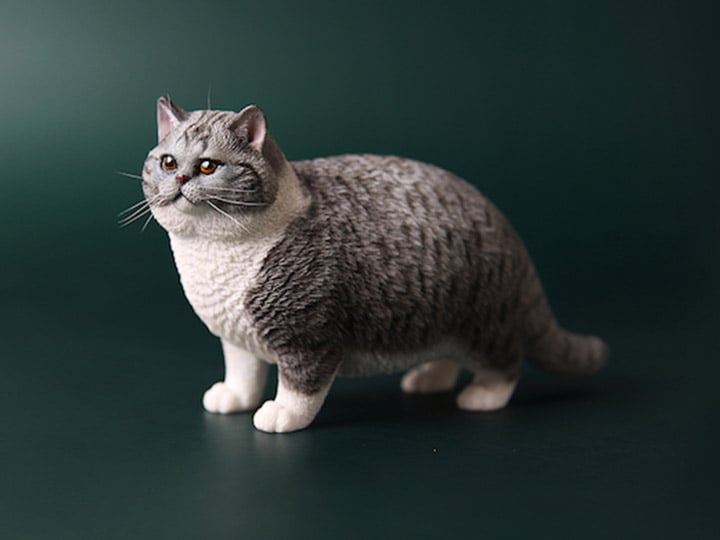 Fat Cat 1/6 Scale Figure (Ver.D) Gallery Image 1