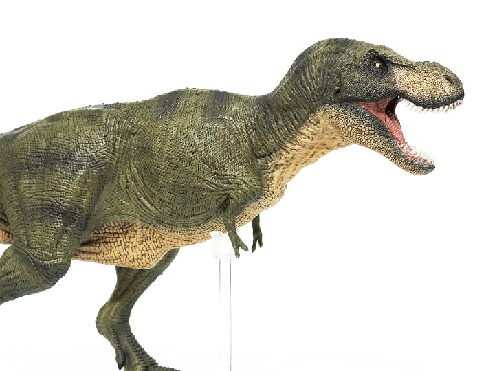 Rebor Grab N Go 04 SA Tyrannosaurus Rex Type C 1/35 Scale Replica