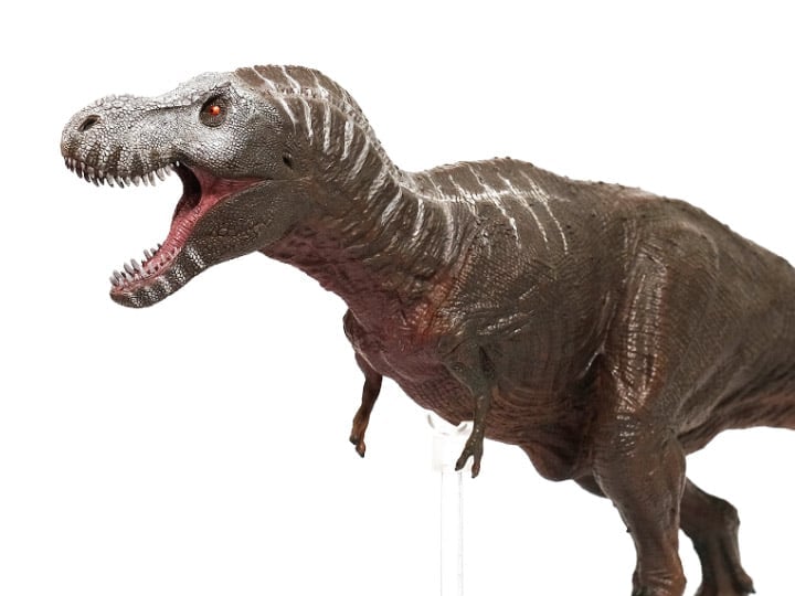 Rebor Grab N Go 05 SA Tyrannosaurus Rex Type D 1/35 Scale Replica