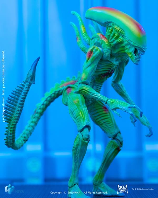 Alien vs. Predator Alien Warrior (Thermal Vision) 1:18 Scale PX Previews Exclusive Figure Gallery Image 5