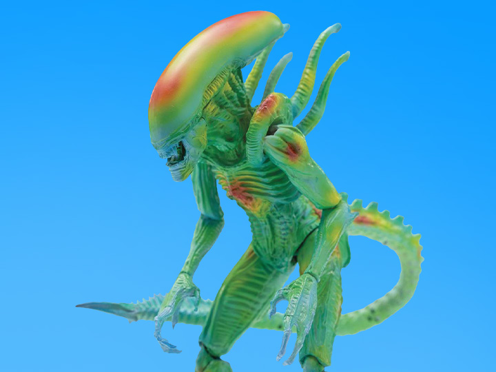 Alien vs. Predator Alien Warrior (Thermal Vision) 1:18 Scale PX Previews Exclusive Figure Gallery Image 1