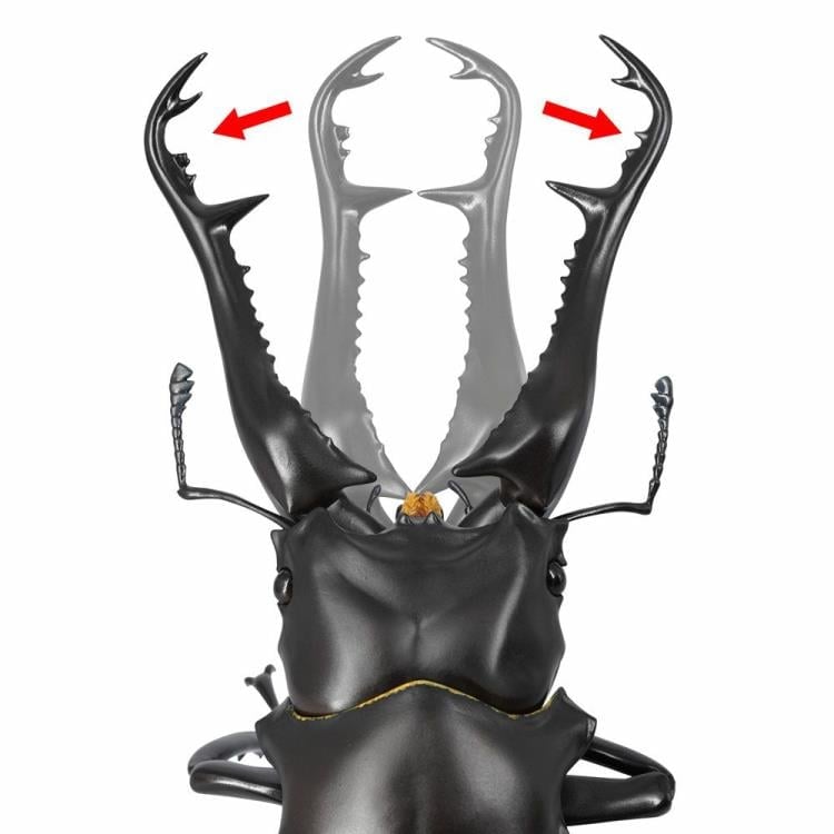 Revoltech RevoGeo RG007 Prosopocoilus giraffa (Giraffe Stag Beetle) Gallery Image 14