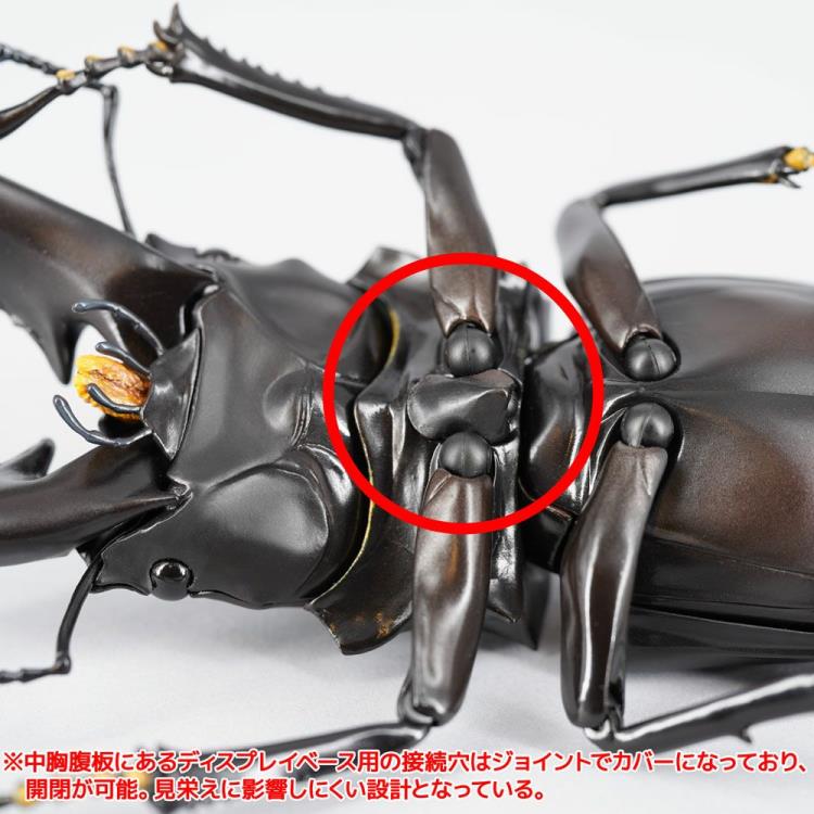 Revoltech RevoGeo RG007 Prosopocoilus giraffa (Giraffe Stag Beetle) Gallery Image 15