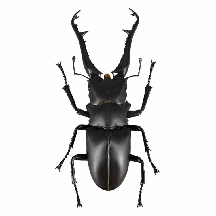 Revoltech RevoGeo RG007 Prosopocoilus giraffa (Giraffe Stag Beetle) Gallery Image 3