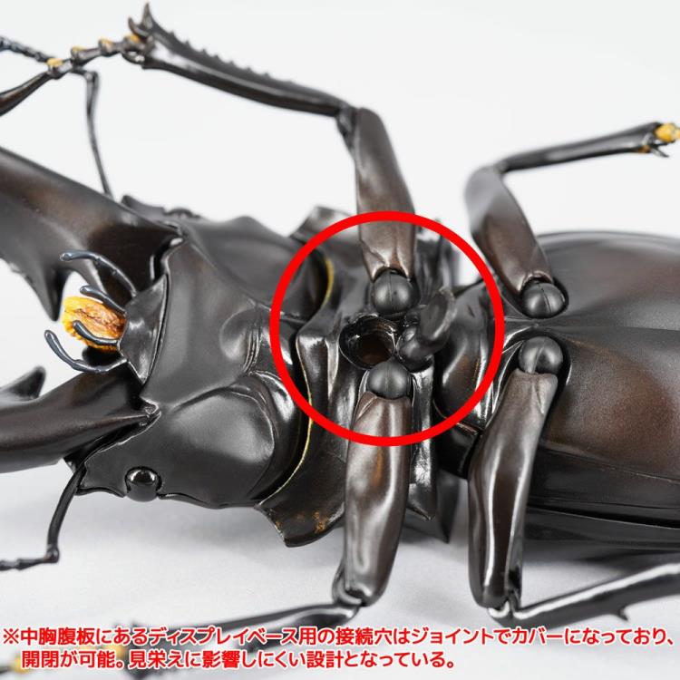 Revoltech RevoGeo RG007 Prosopocoilus giraffa (Giraffe Stag Beetle) Gallery Image 16