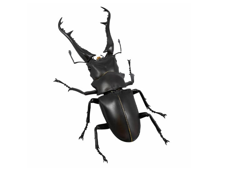 Revoltech RevoGeo RG007 Prosopocoilus giraffa (Giraffe Stag Beetle) Gallery Image 1