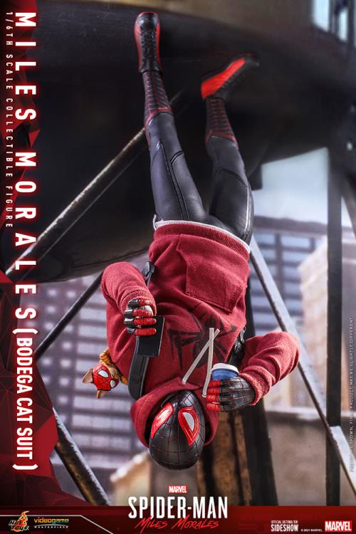 Marvel's Spider-Man: Miles Morales VGM50 Spider-Man (Bodega Cat Suit) 1/6th Scale Collectible Figure Gallery Image 19