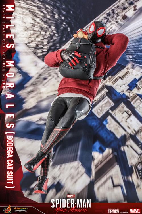 Marvel's Spider-Man: Miles Morales VGM50 Spider-Man (Bodega Cat Suit) 1/6th Scale Collectible Figure Gallery Image 10