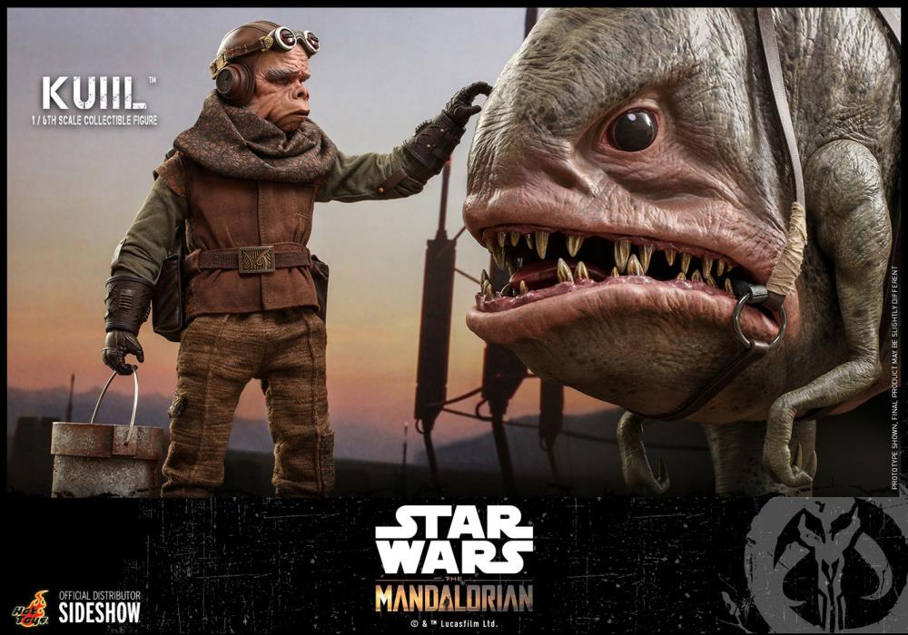 The Mandalorian TMS048 Kuiil 1/6th Scale Collectible Figure Gallery Image 15