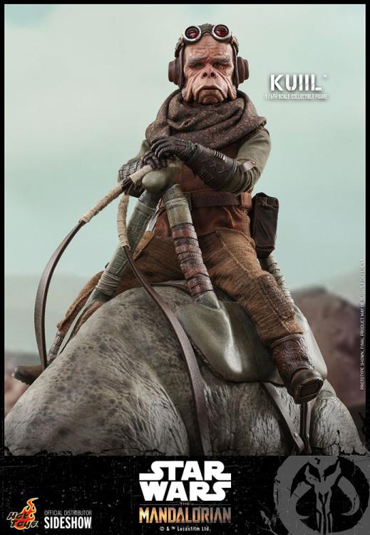 The Mandalorian TMS048 Kuiil 1/6th Scale Collectible Figure Gallery Image 12