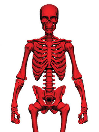 Vitruvian H.A.C.K.S. Skeleton Blank (Blood Red) BBTS Exclusive Gallery Image 2