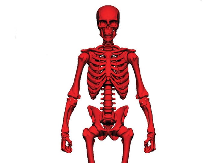 Vitruvian H.A.C.K.S. Skeleton Blank (Blood Red) BBTS Exclusive Gallery Image 1