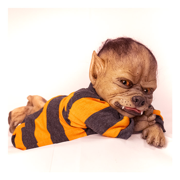 WerePups WerePup Cooper Gallery Image 12