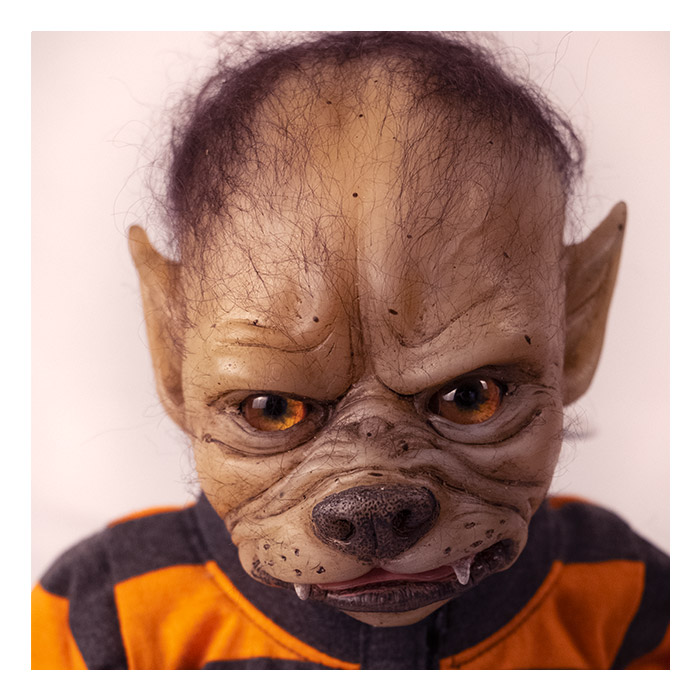 WerePups WerePup Cooper Gallery Image 10