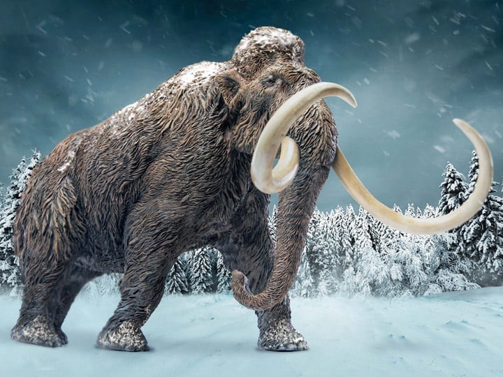 Wonders of the Wild Woolly Mammoth Gallery Image 1