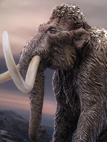 Wonders of the Wild Woolly Mammoth Gallery Image 2