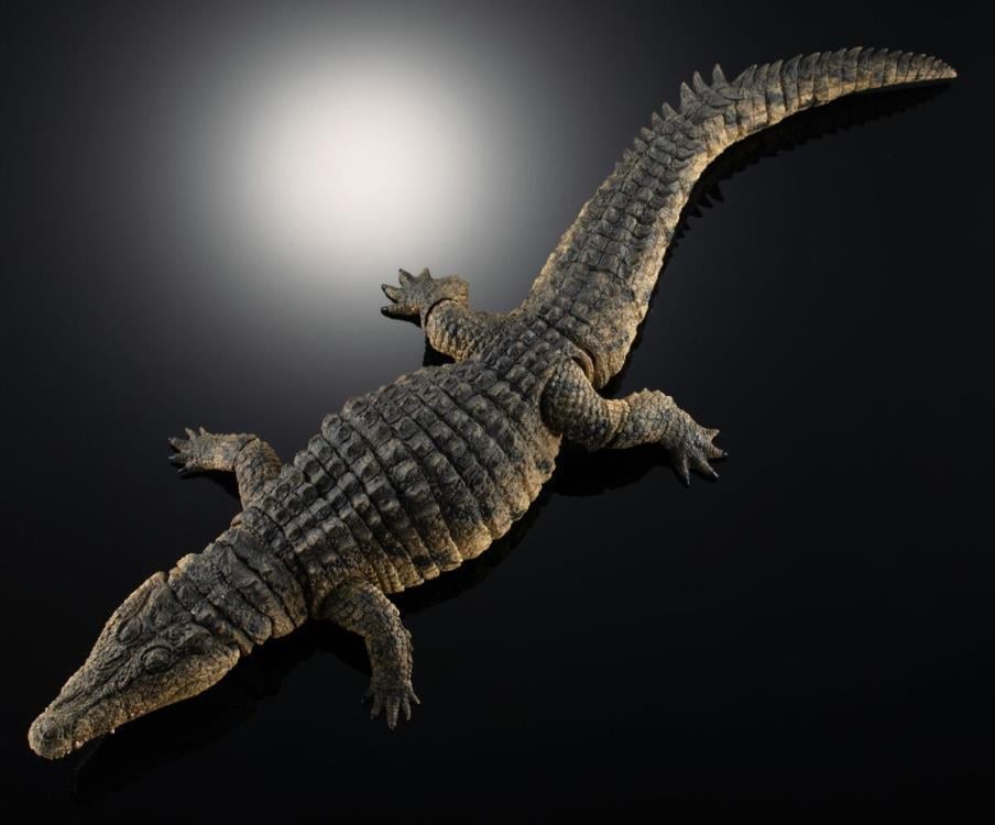 The Diversity of Life on Earth Ultimate Nile Crocodile Exclusive