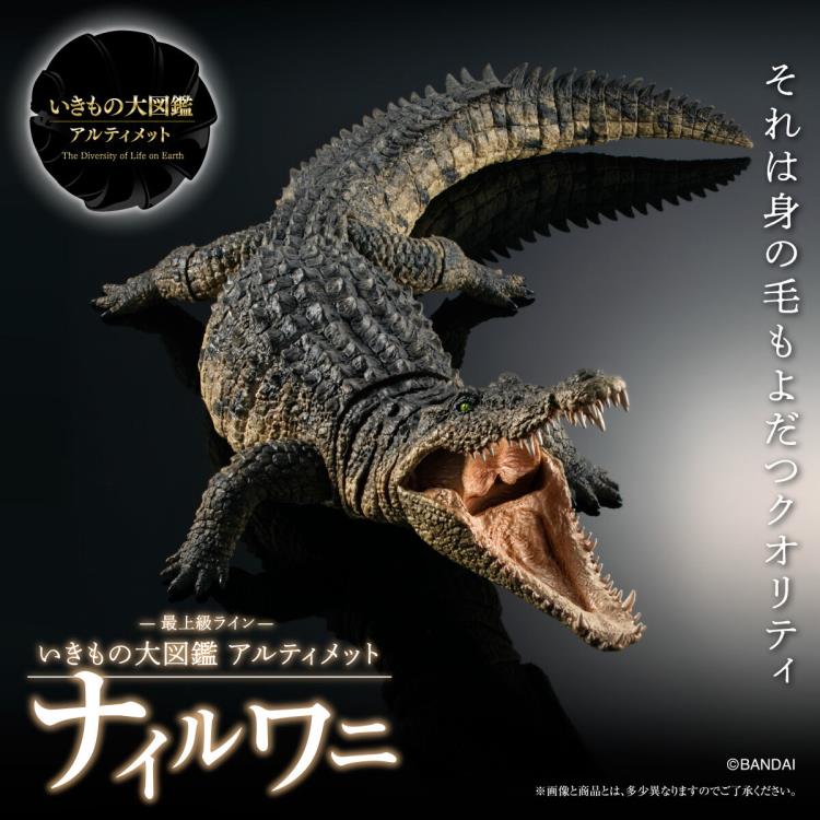 The Diversity of Life on Earth Ultimate Nile Crocodile Exclusive