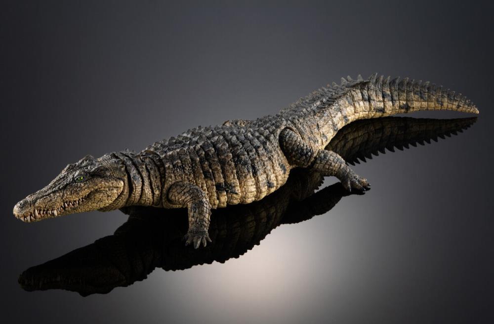 The Diversity of Life on Earth Ultimate Nile Crocodile Exclusive Figure Gallery Image 5
