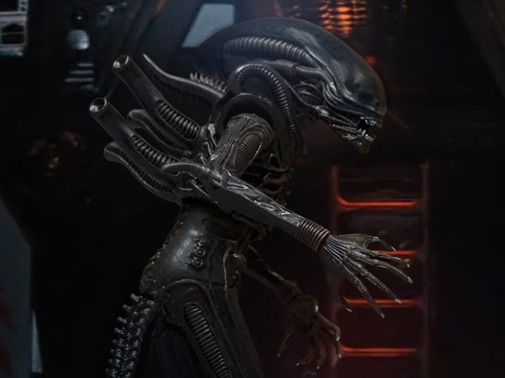 Alien One:12 Collective Alien Gallery Image 1