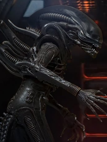 Alien One:12 Collective Alien Gallery Image 2