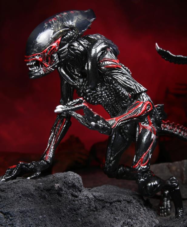 Aliens Kenner Tribute Night Cougar Alien Gallery Image 6